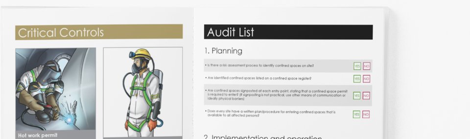 Audit Checklist sample pages