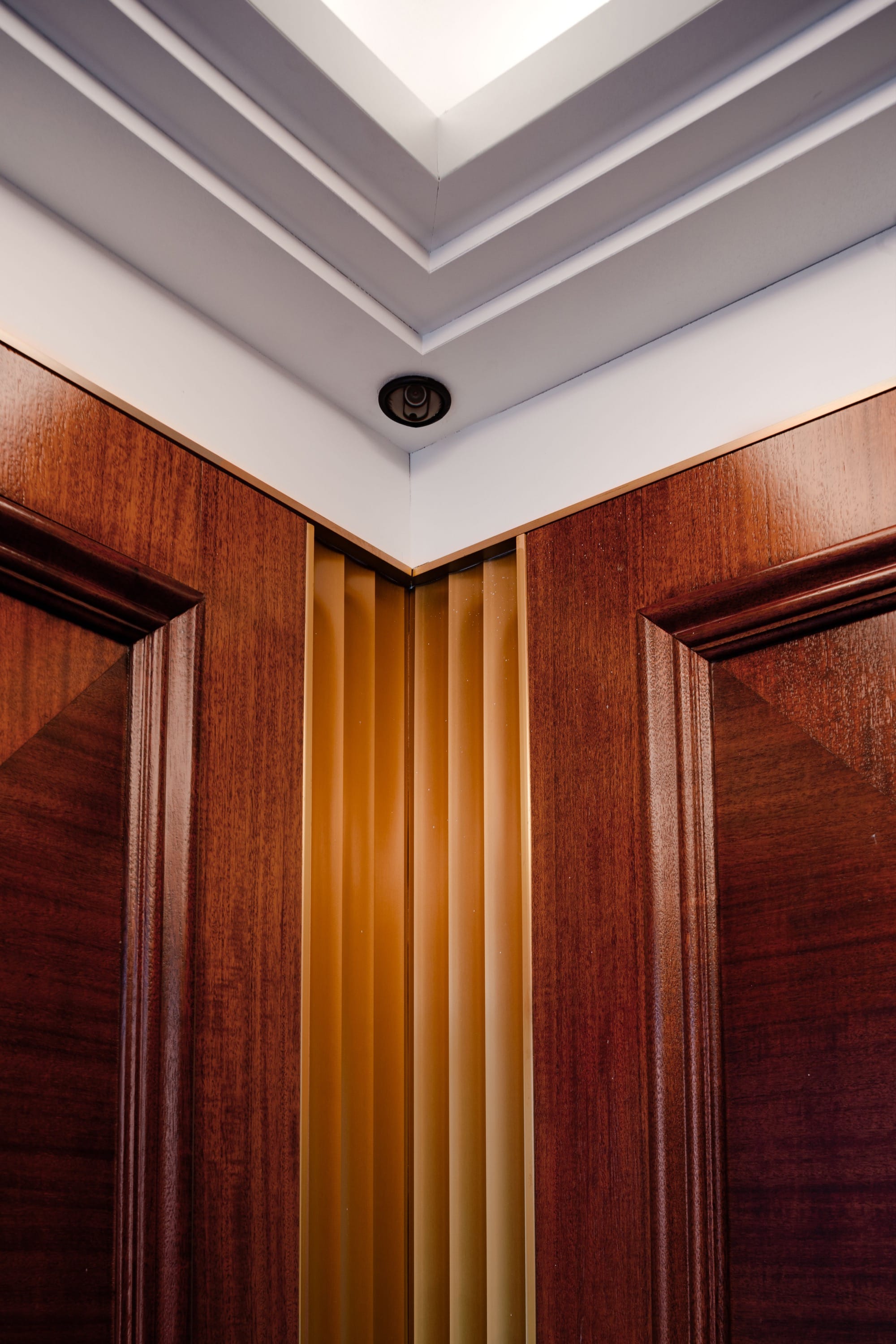 Close-up of an elevator corner showing dark wood wall panels, vertical brass trim, and a recessed ceiling light.