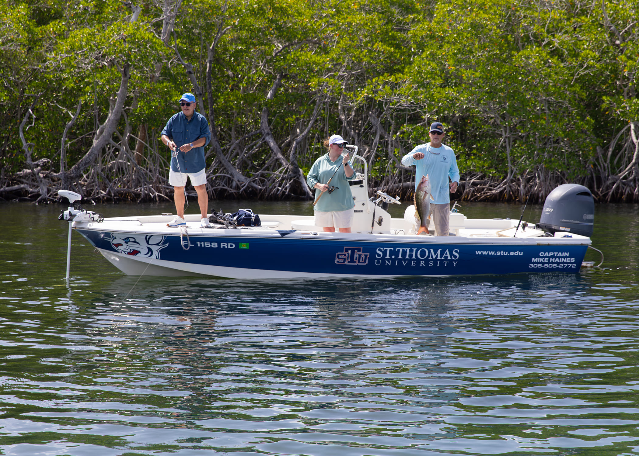 Two anglers on a boat labeled St. Thomas University, one holding up a caught fish near a mangrove shoreline.