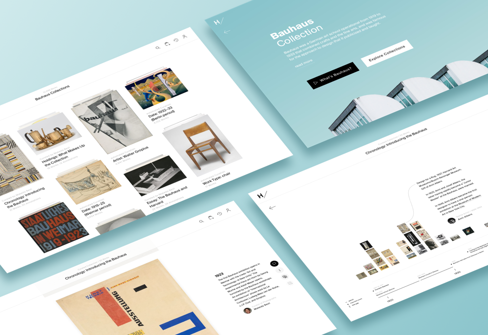 Harvard Bauhaus Collection