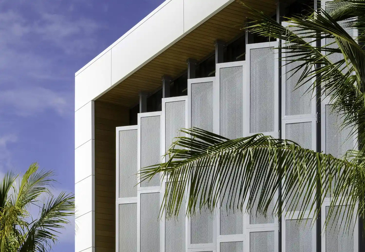 "Modern building facade with perforated white panels, wood accents, and palm trees in the foreground against a clear blue sky."