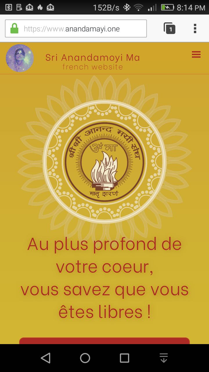 screenshot of Anandamayi.one site web