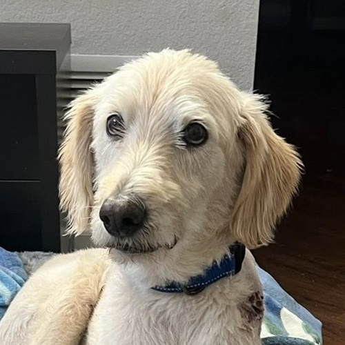Charlie