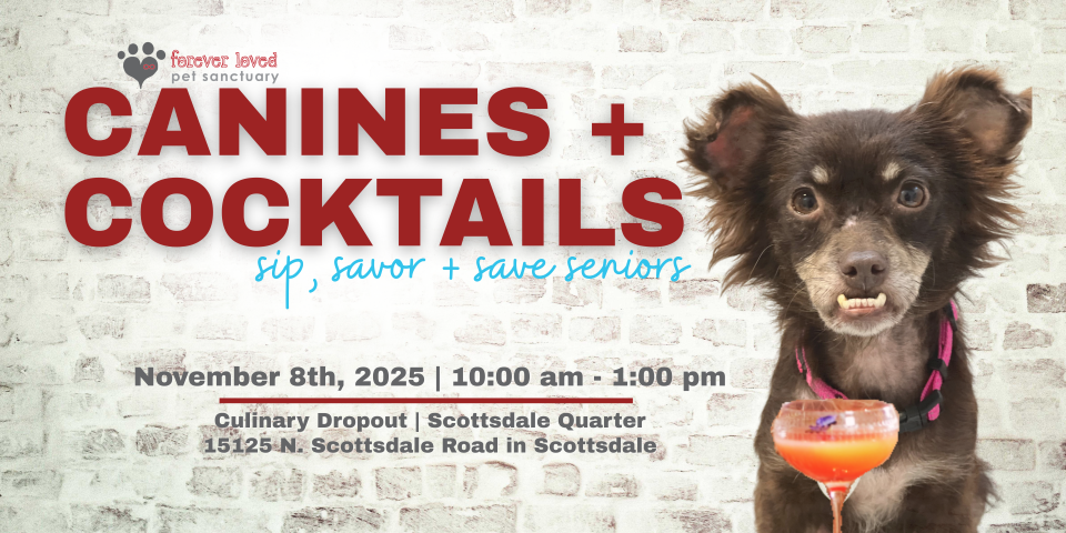 Canines & Cocktails