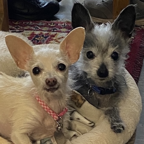 Mackie & Lollie