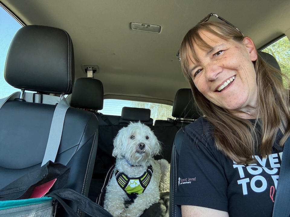 Dog field trips