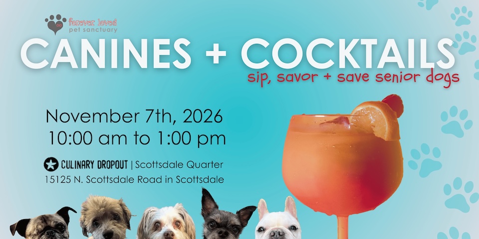Canines + Cocktails