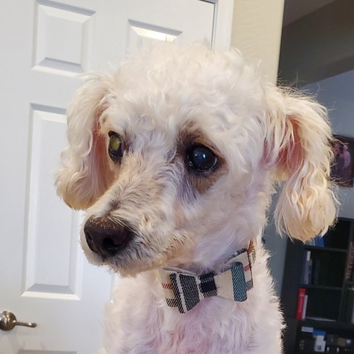 Murphy