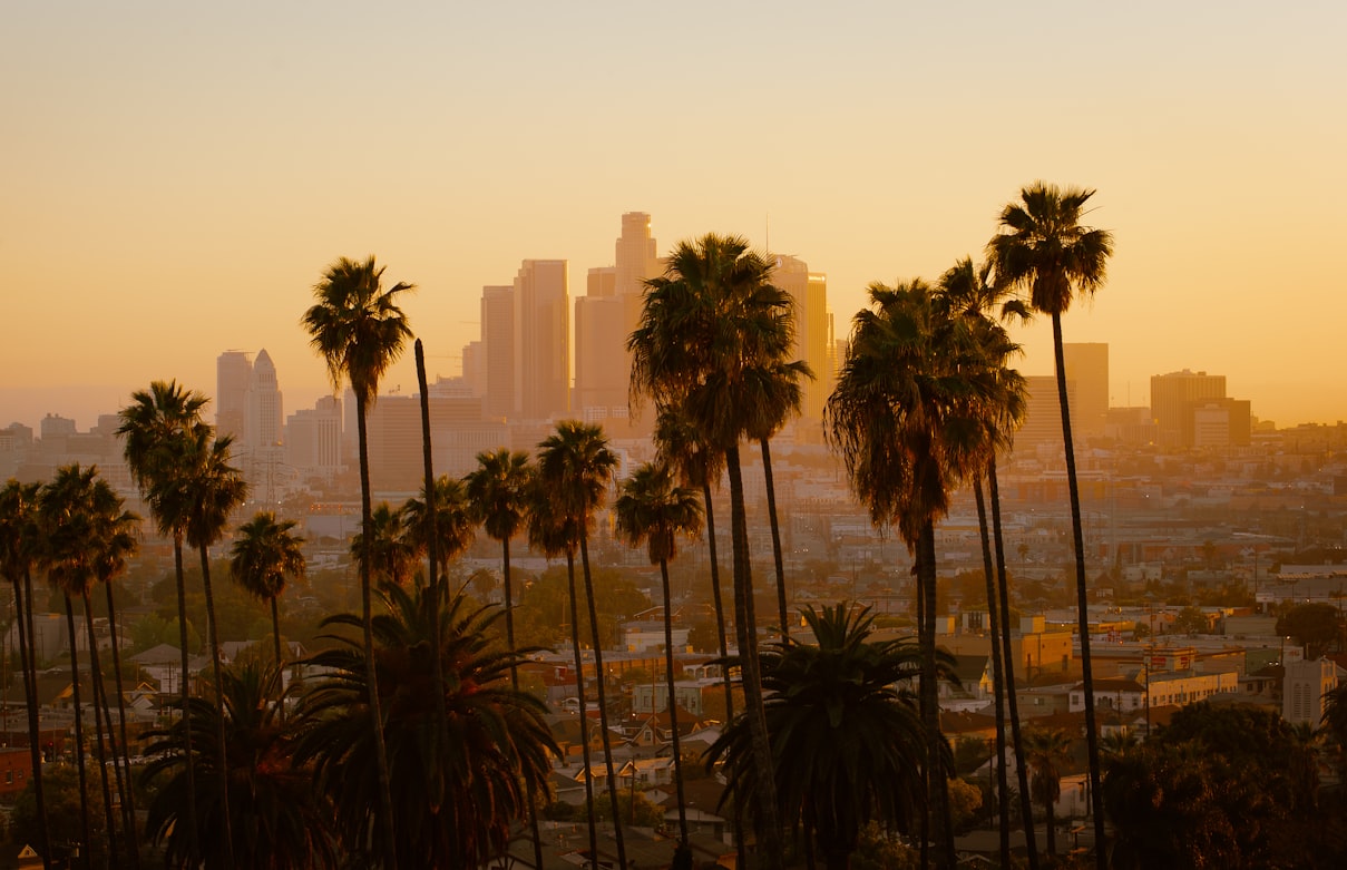 Los Angeles skyline at sunset framed by palm trees, representing California students using CalKIDS funds for beauty school