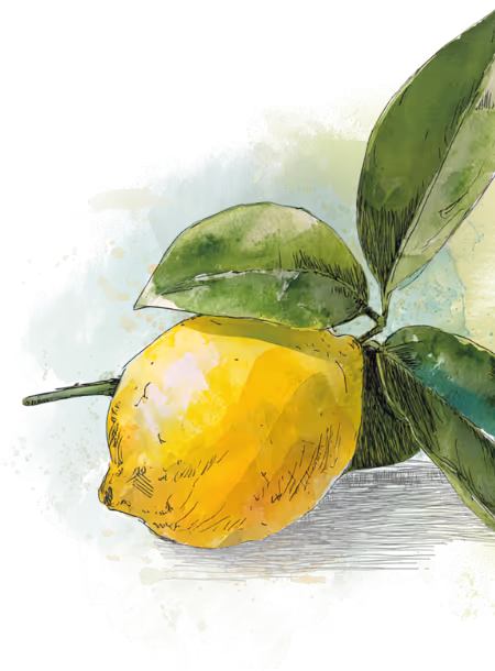 Illustratie van een gele citroen met groene bladeren op een aquarel-achtergrond.
