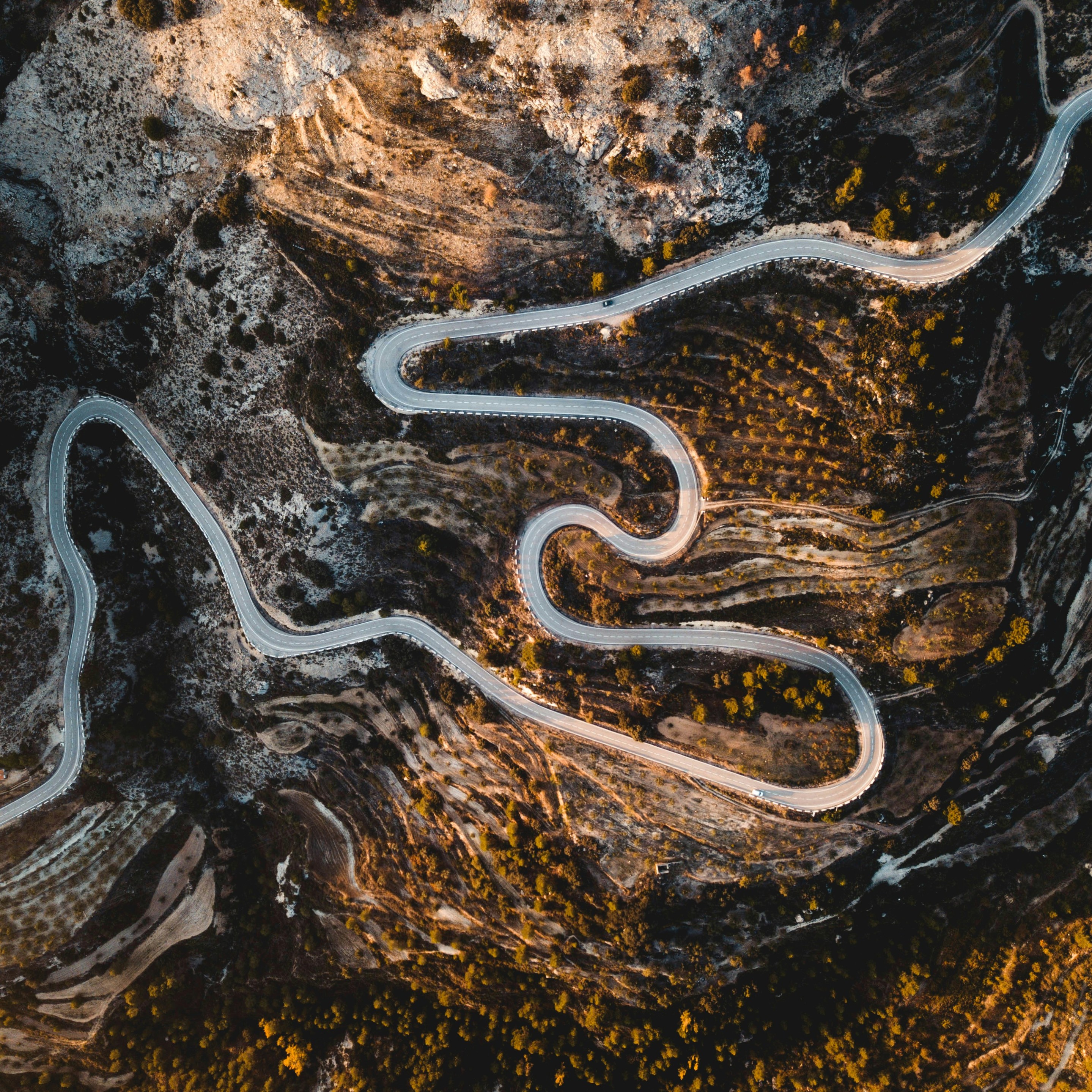 Business owners – from optimism to uncertainty in a volatile world