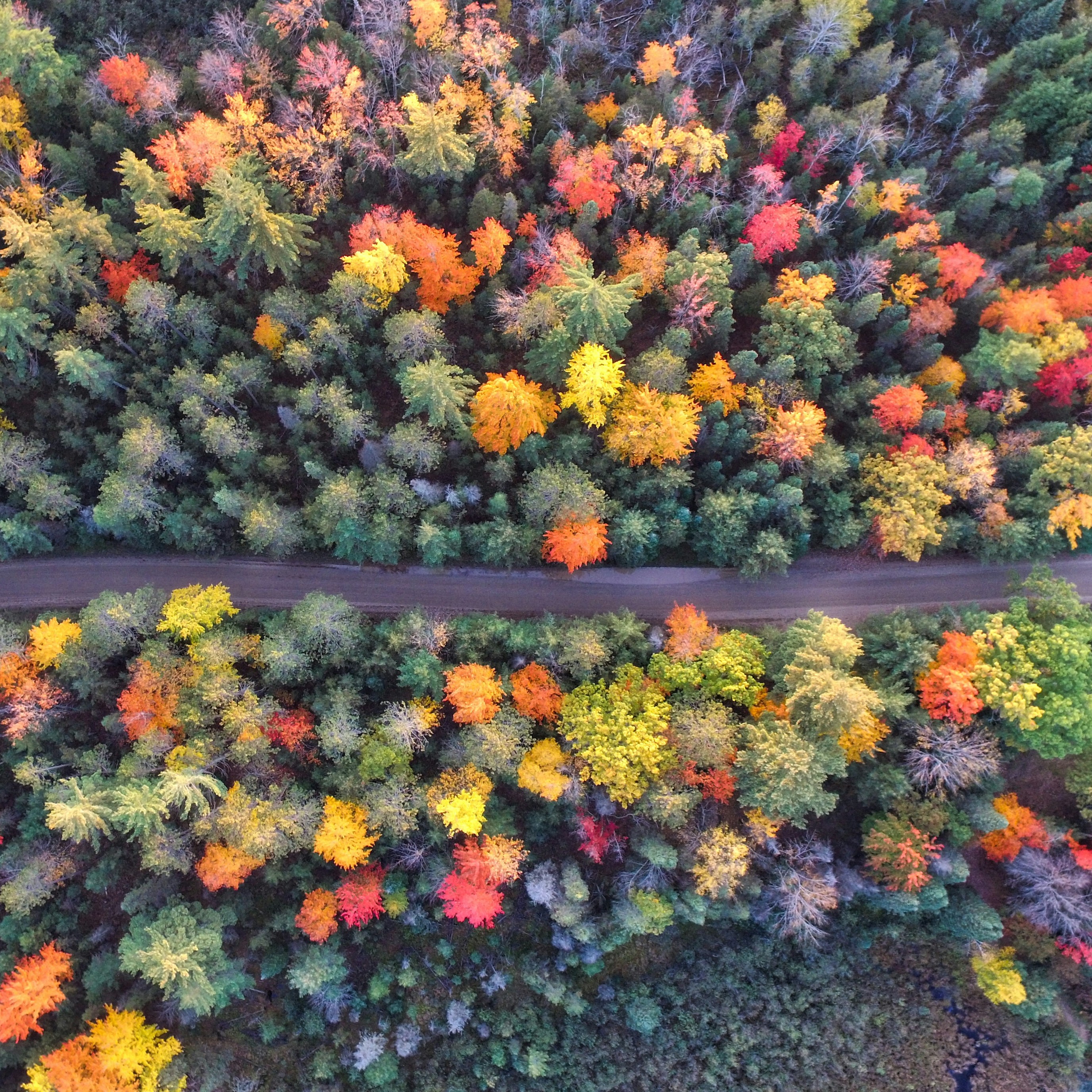 Autumn Budget 2026 – with a month to go, what lies ahead?