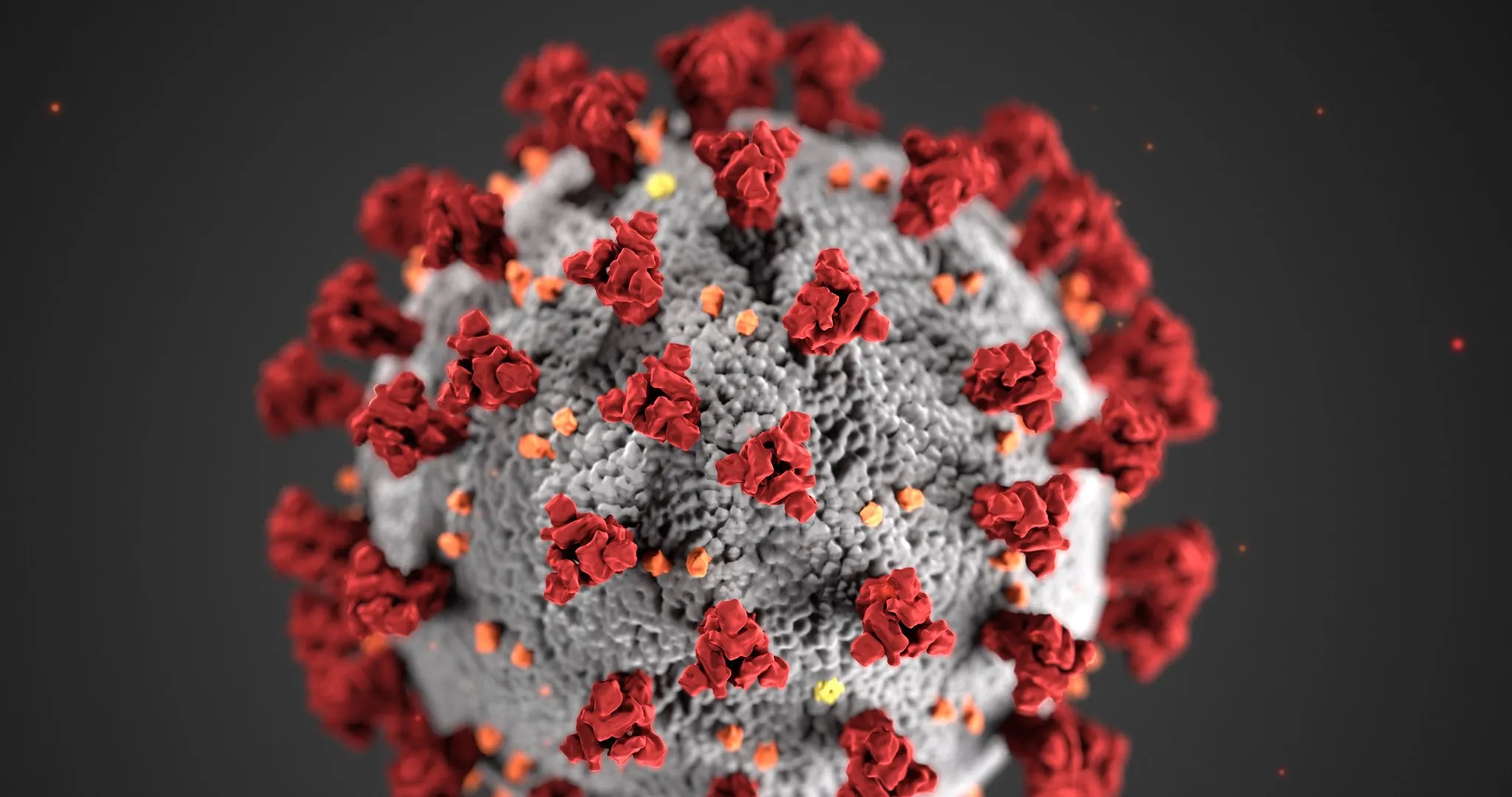 Graphic of Coronavirus
