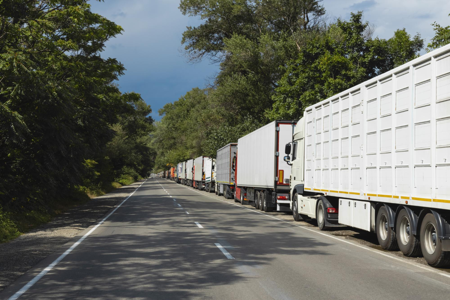 Alt text: Container trucks line up at the side of the road.