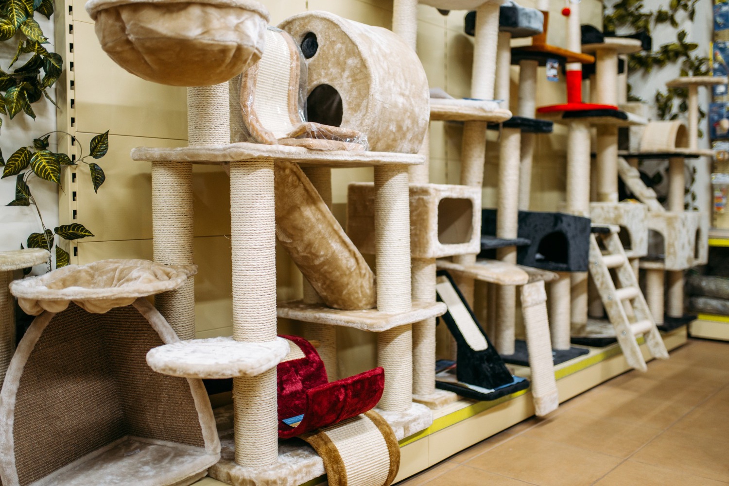 Alt text: Multi-level cat trees are showcased in a retail store.