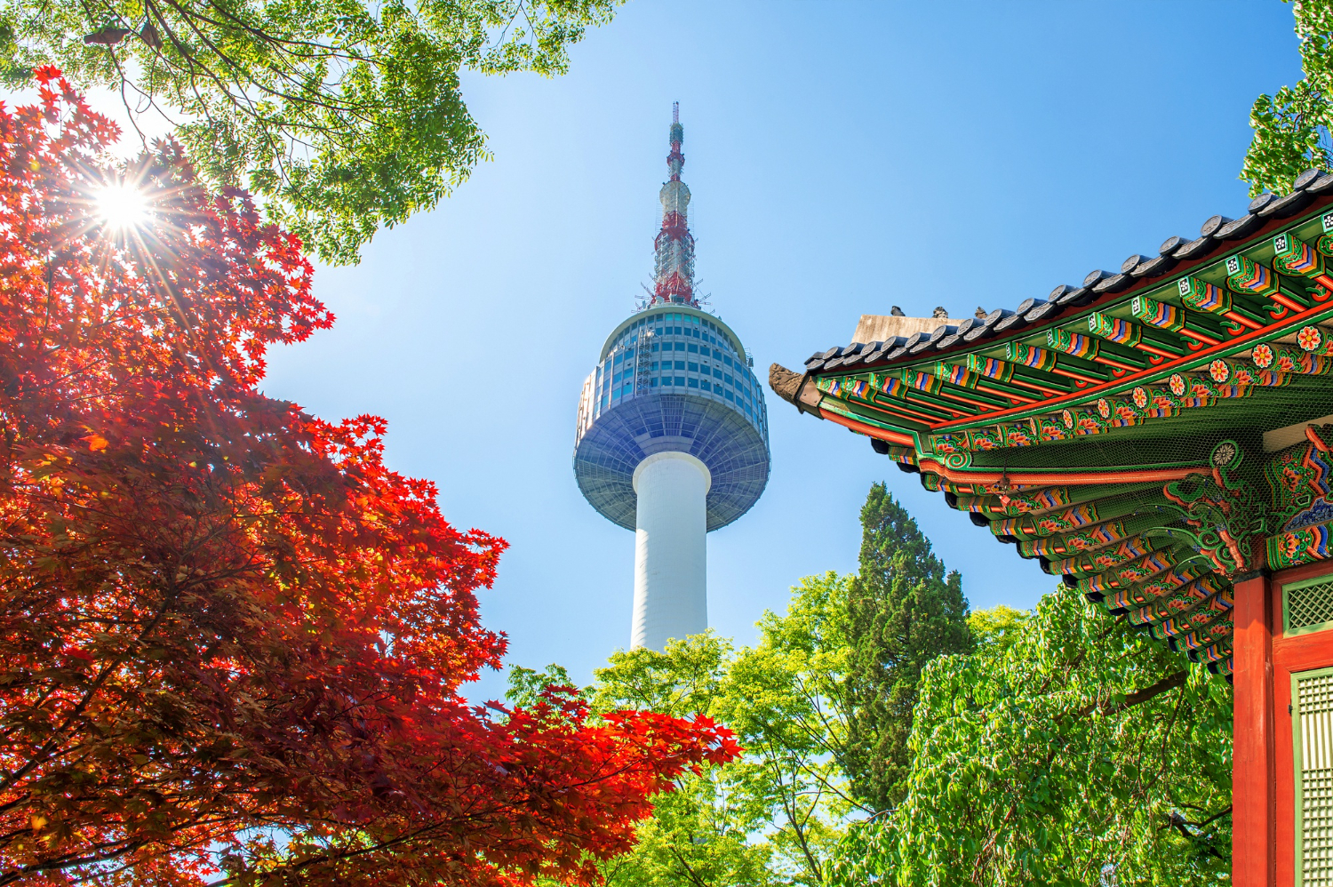 South Korea Tightens PCCC Checks for B2C E-Commerce Imports