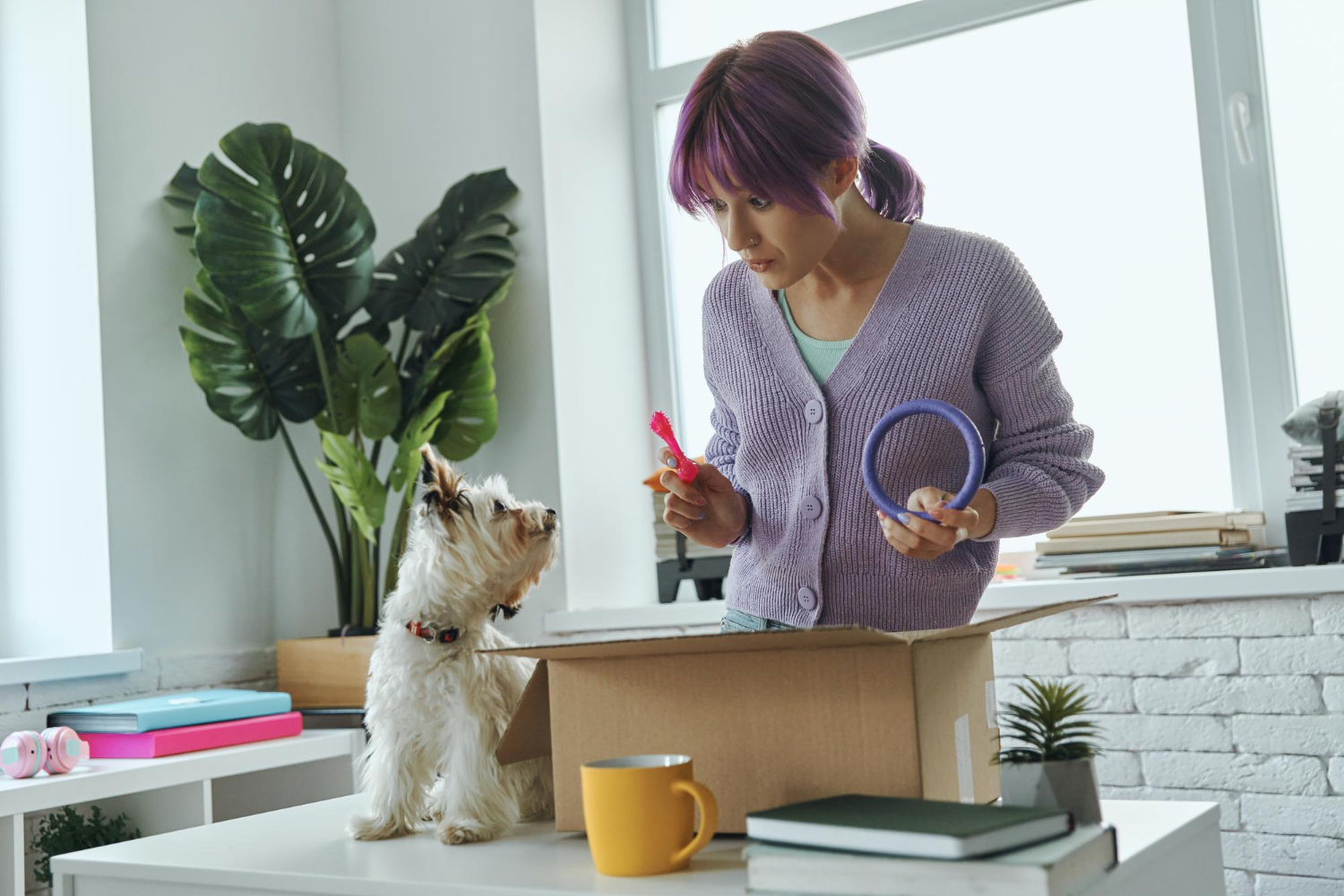 3PL Fulfilment for Pet Product Brands in Australia