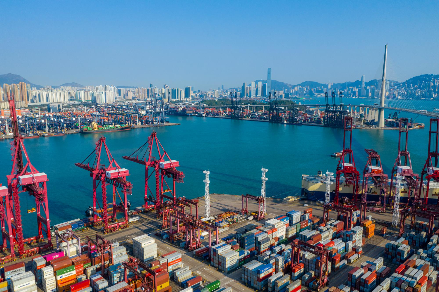 What Are DAP, DDP, or DPU? A Practical Guide for First-Time FCL Importers from China