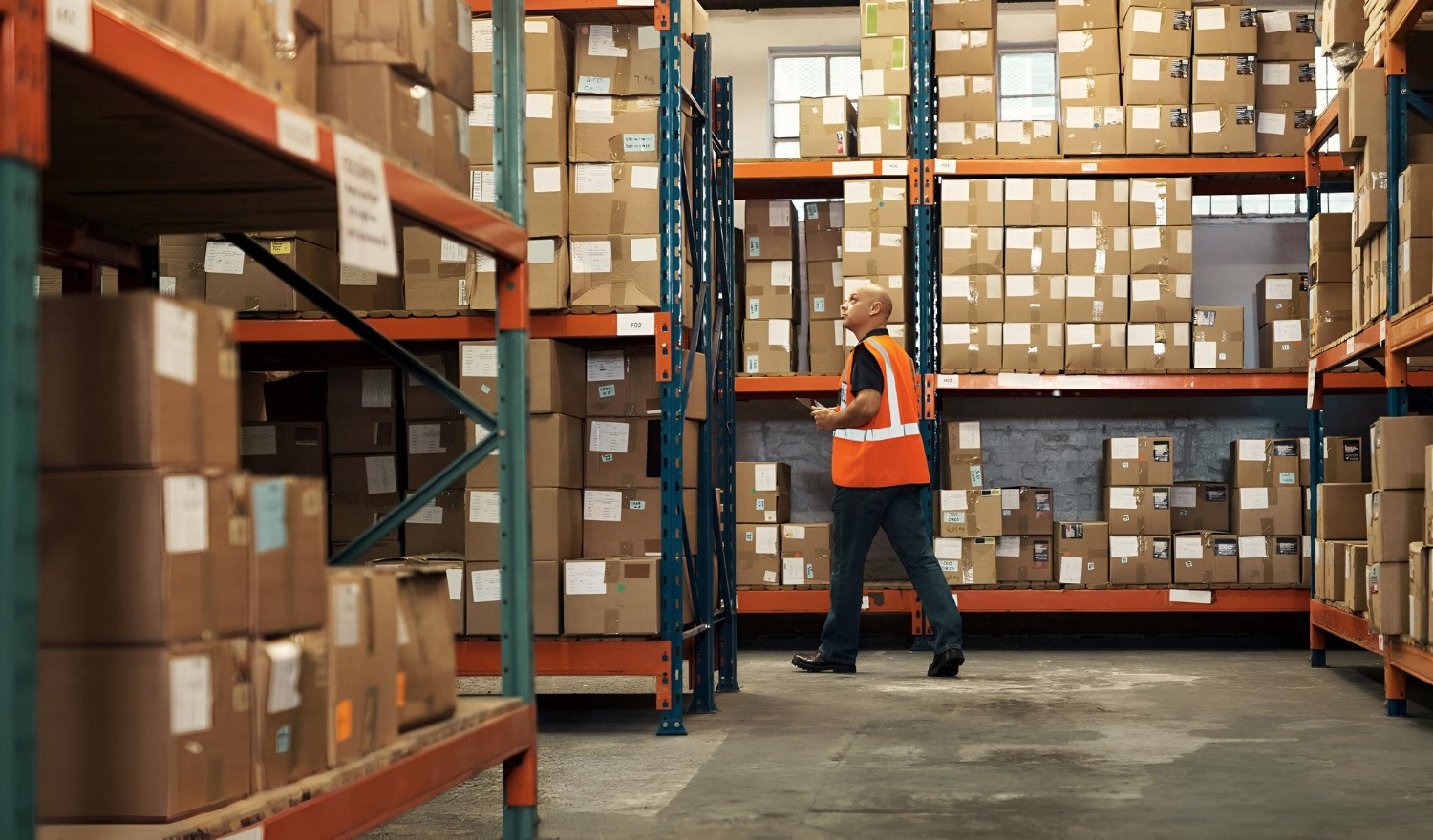 Alt text: Warehouse worker inspecting cartons stored on shelving in a logistics warehouse.