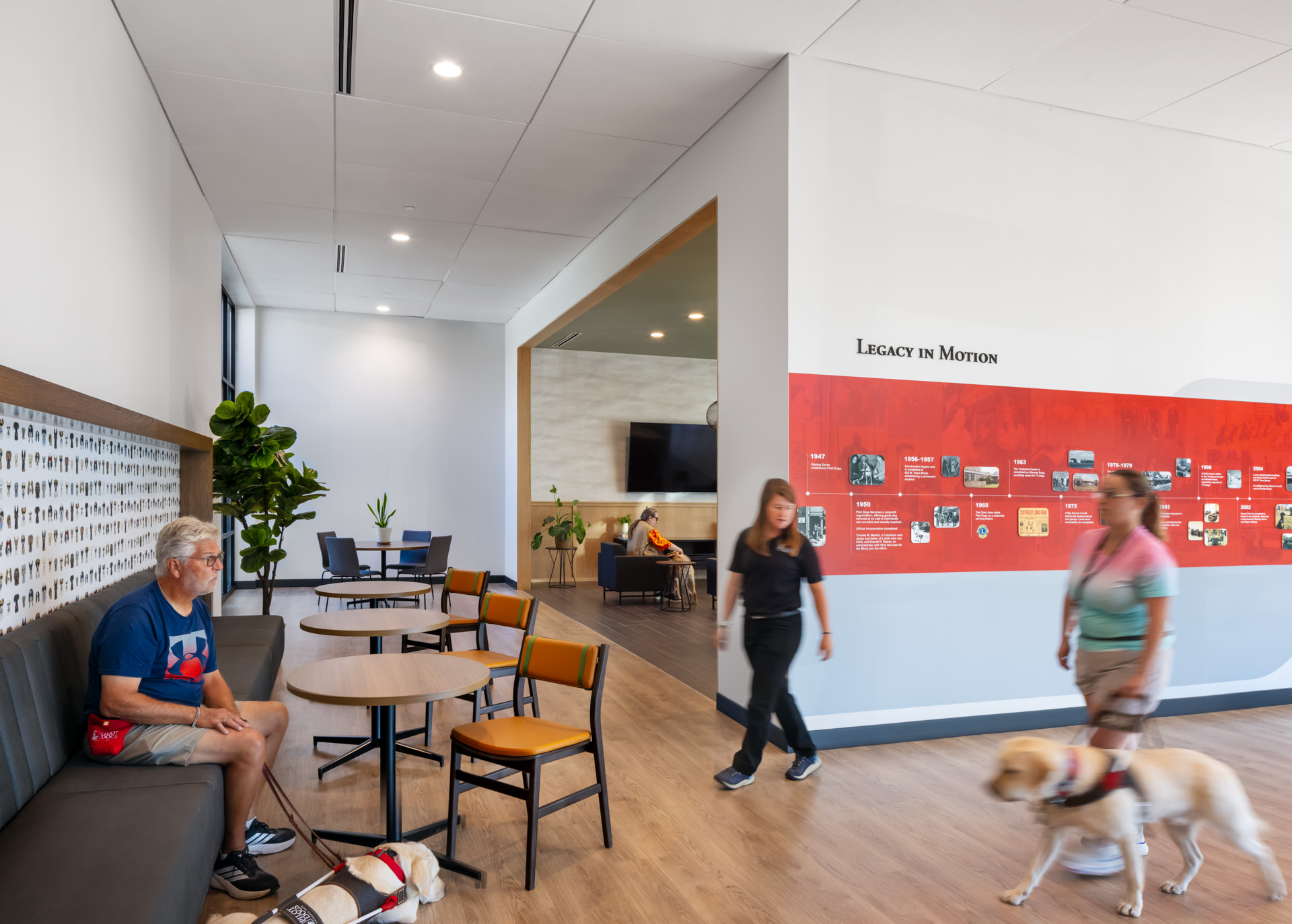 Pilot Dogs lobby with a history timeline wall as students and guide dogs move through the space.