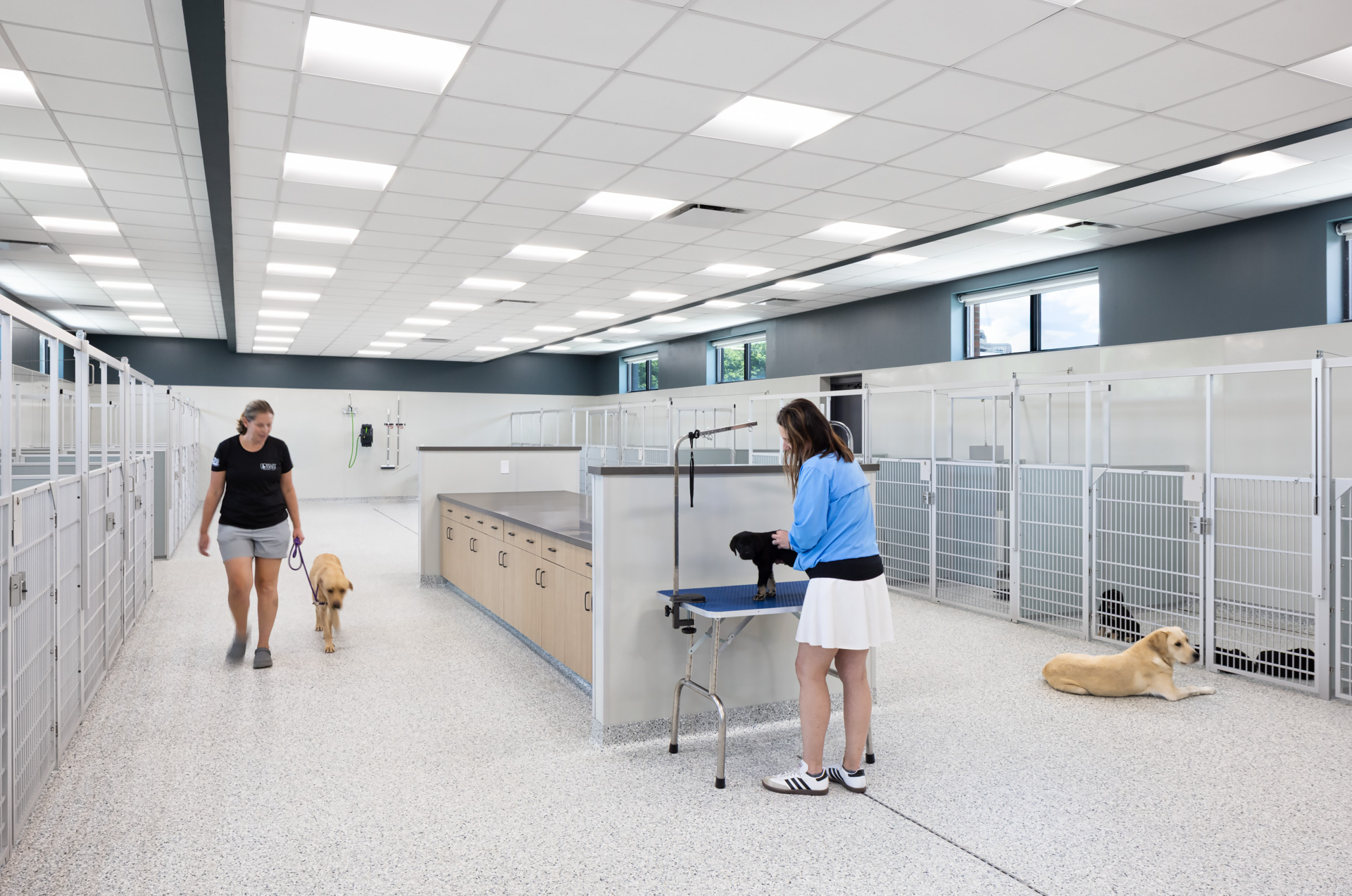 Puppy Palace kennel area with rows of kennels as staff care for and handle dogs