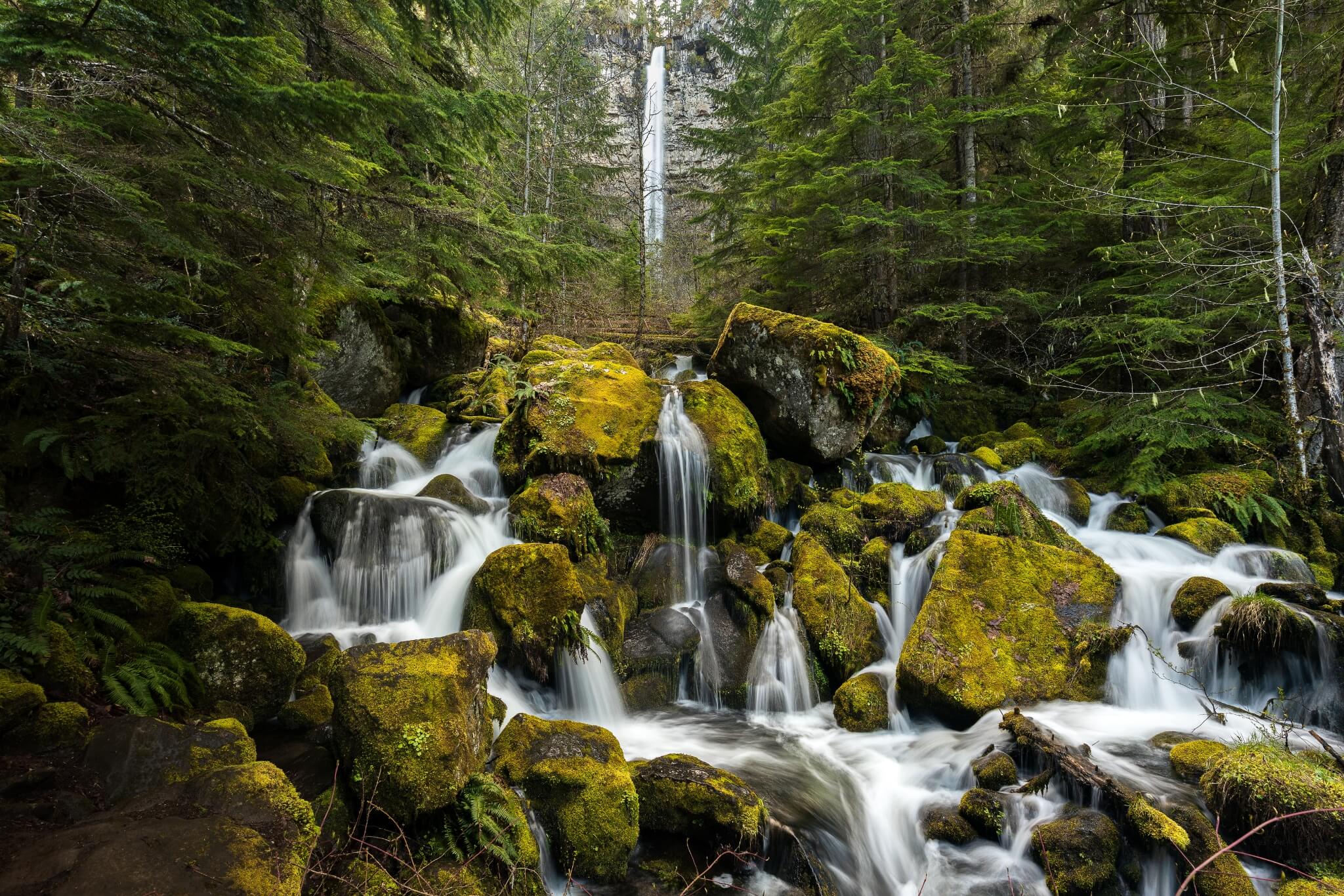 Several streams of smooth water flowing over a pile of moss covered boulders in the middle of a thick forest with a tall waterfall in the distant background.