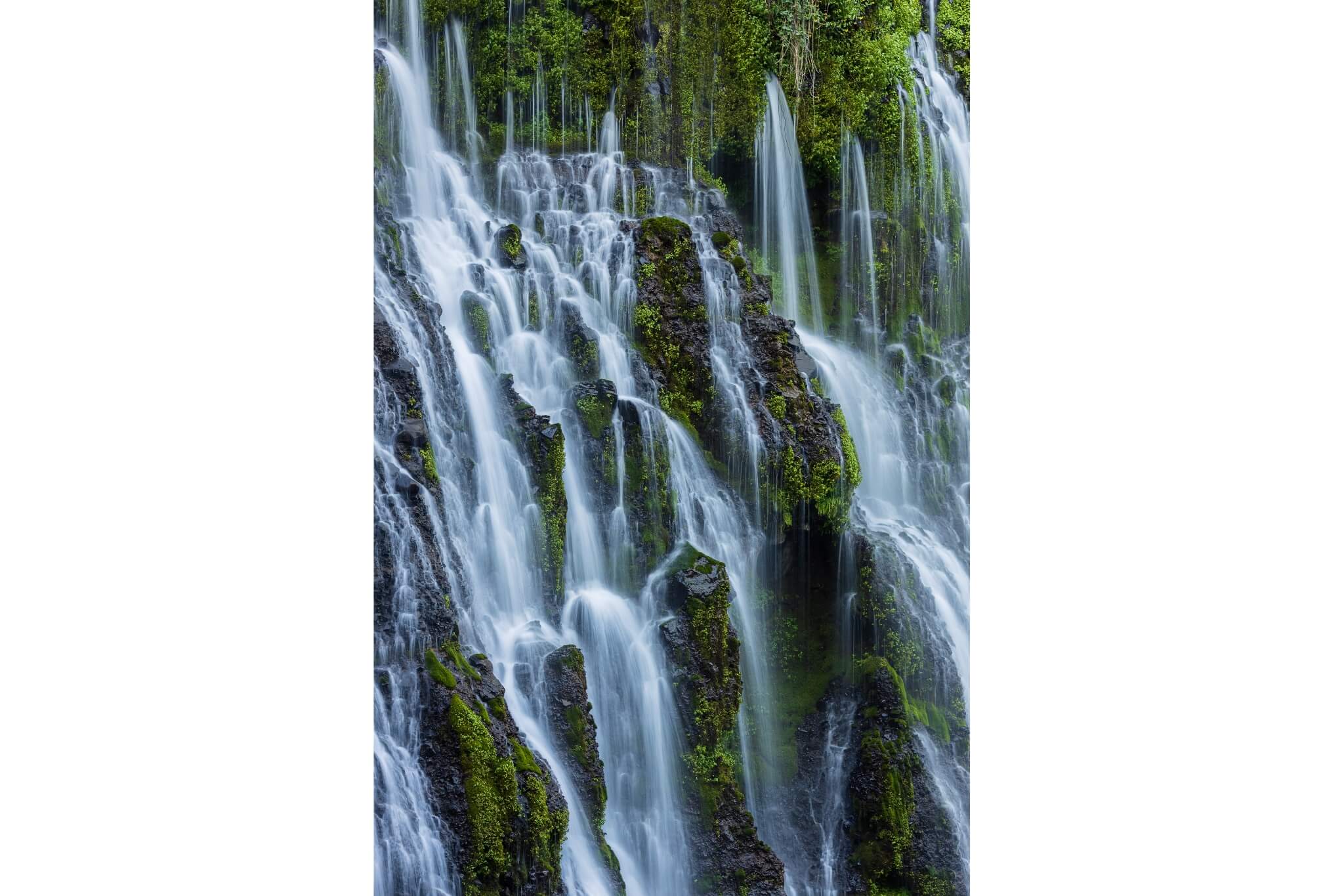 Dozens of tall, smooth streams of water pour over a sheer cliff made of mossy rocks with small plants growing between them.
