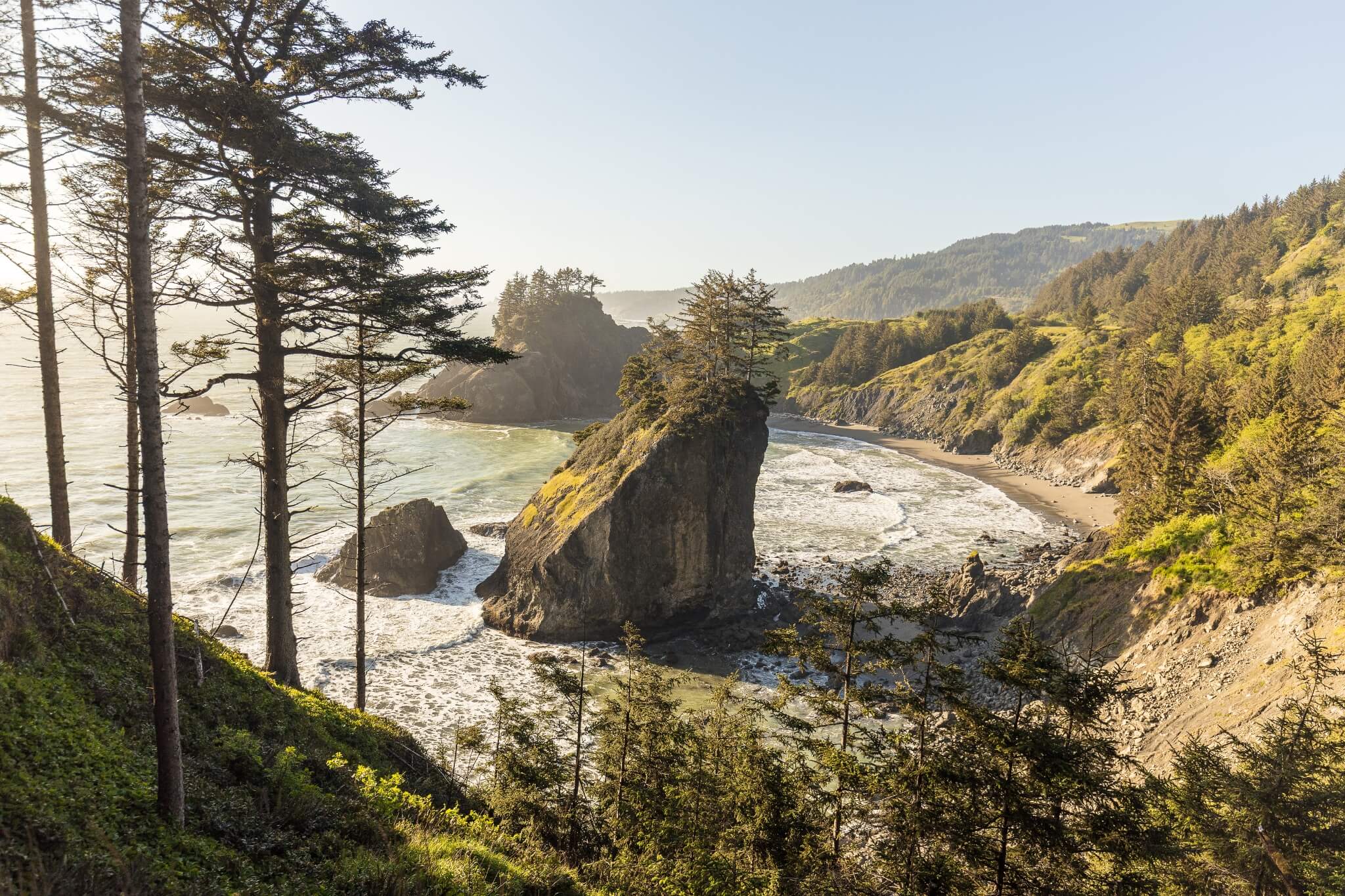 A massive sea stack sits in the middle of a cove along the Oregon coast, wrapped by sloping wooded hills. Tall evergreens are in the foreground and everything glows with the golden color of sunset.
