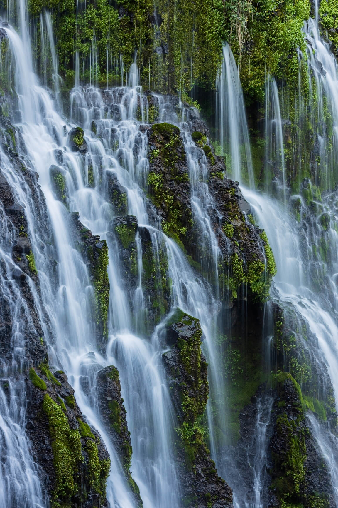 Dozens of tall, smooth streams of water pour over a sheer cliff made of mossy rocks with small plants growing between them.