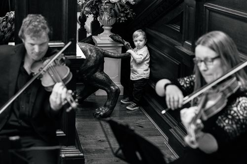 wedding reception violin