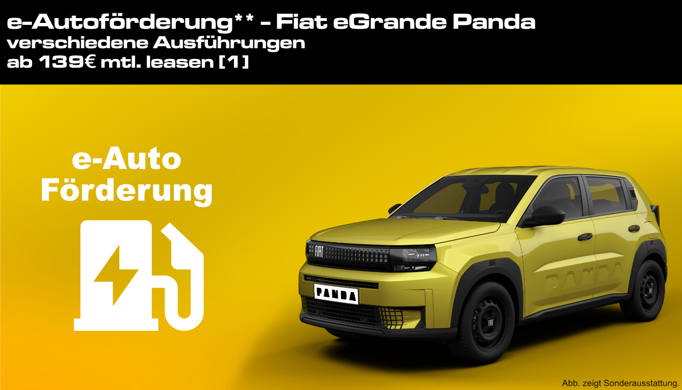 e-Autoförderung** - Fiat eGrande Panda