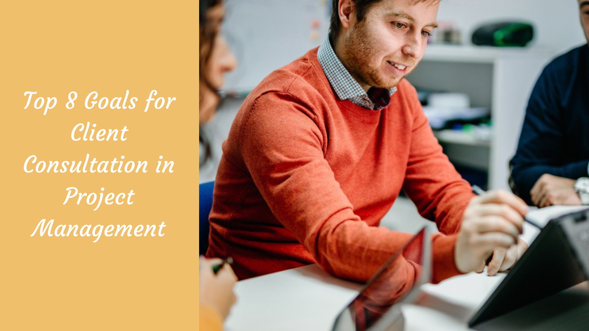 Project Client Definition Top 8 Goals for Client Consultation in Project Management