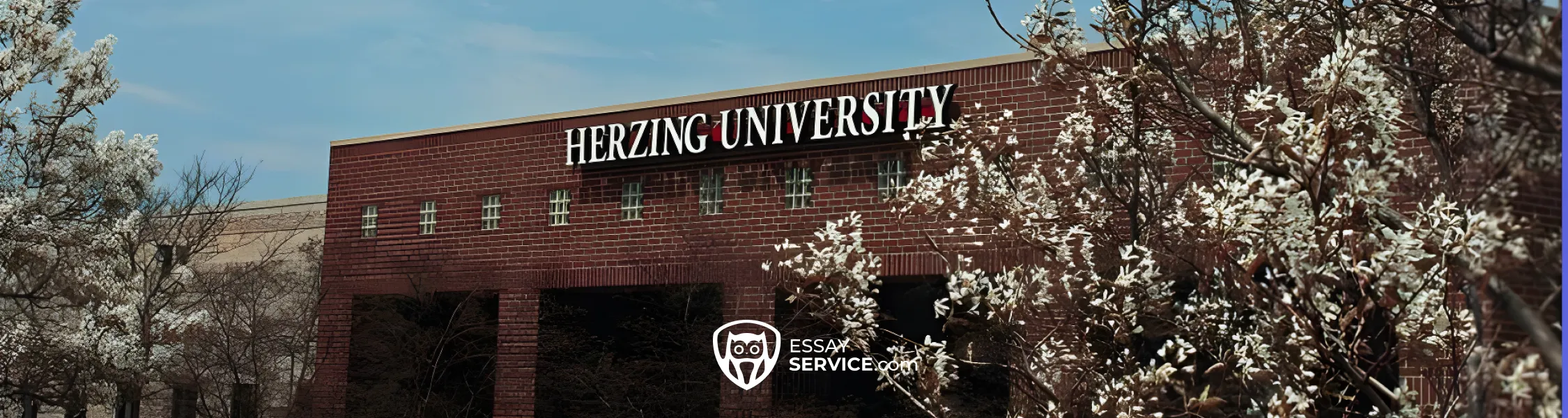 Herzing University