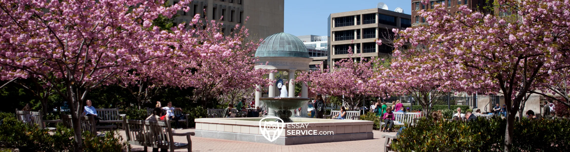 George Washington University