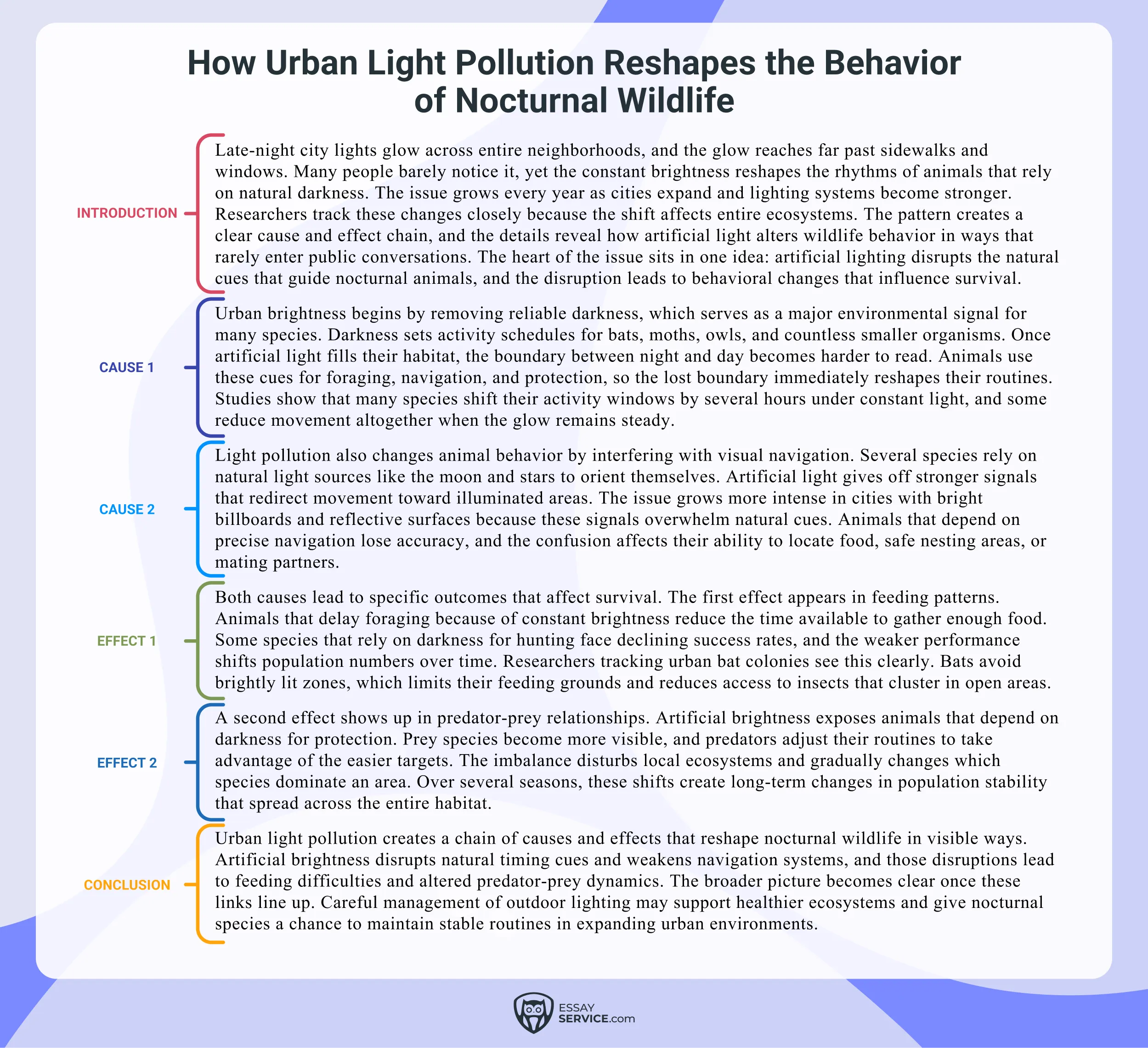 Cause and Effect Essay Example