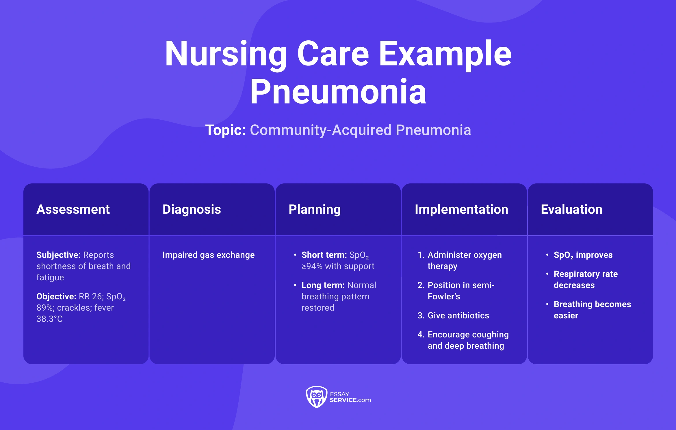 Nursing Care Plan Example For Pneumonia