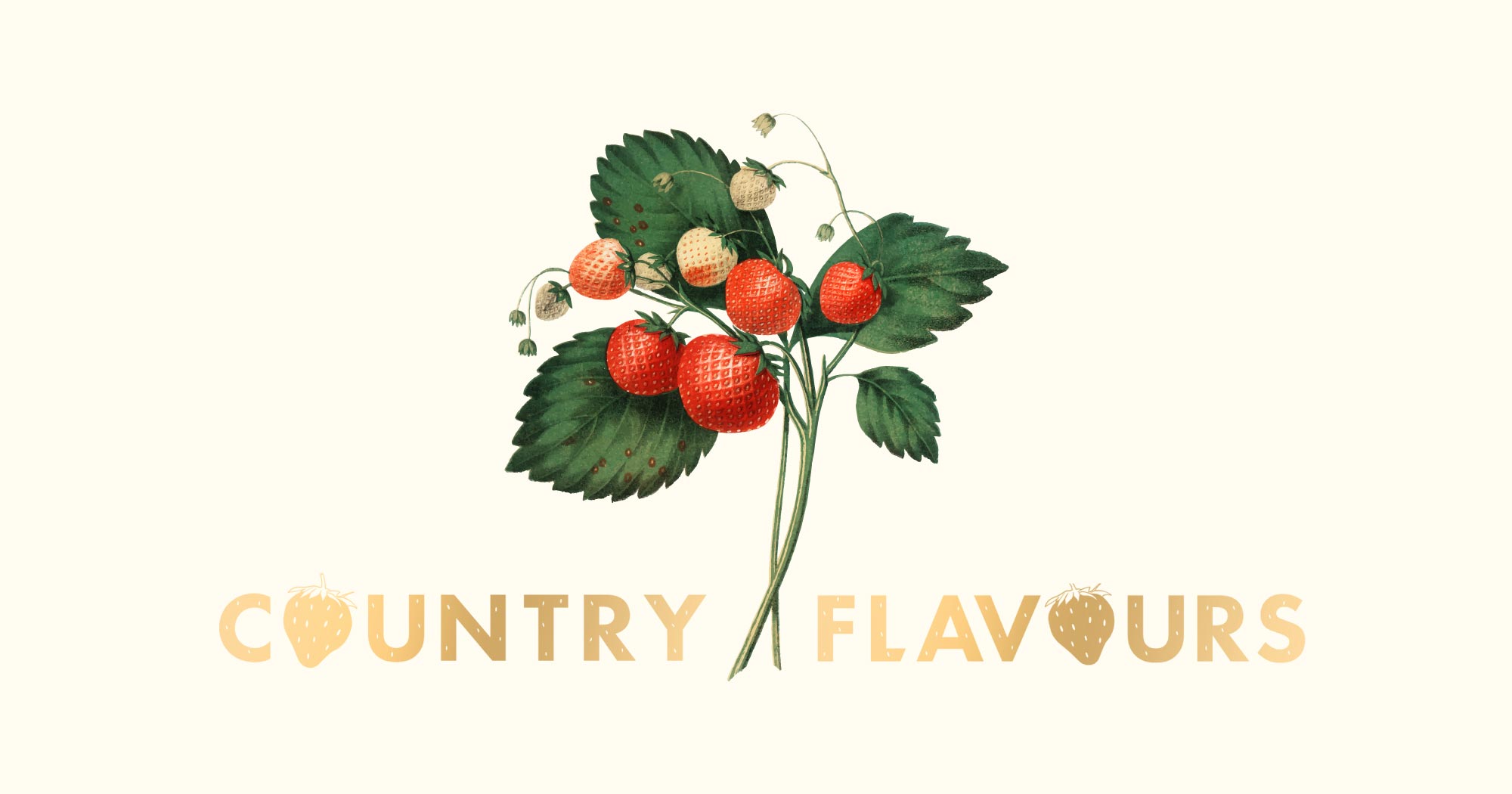 Hot and cold buffets Country Flavours Scottish Catering