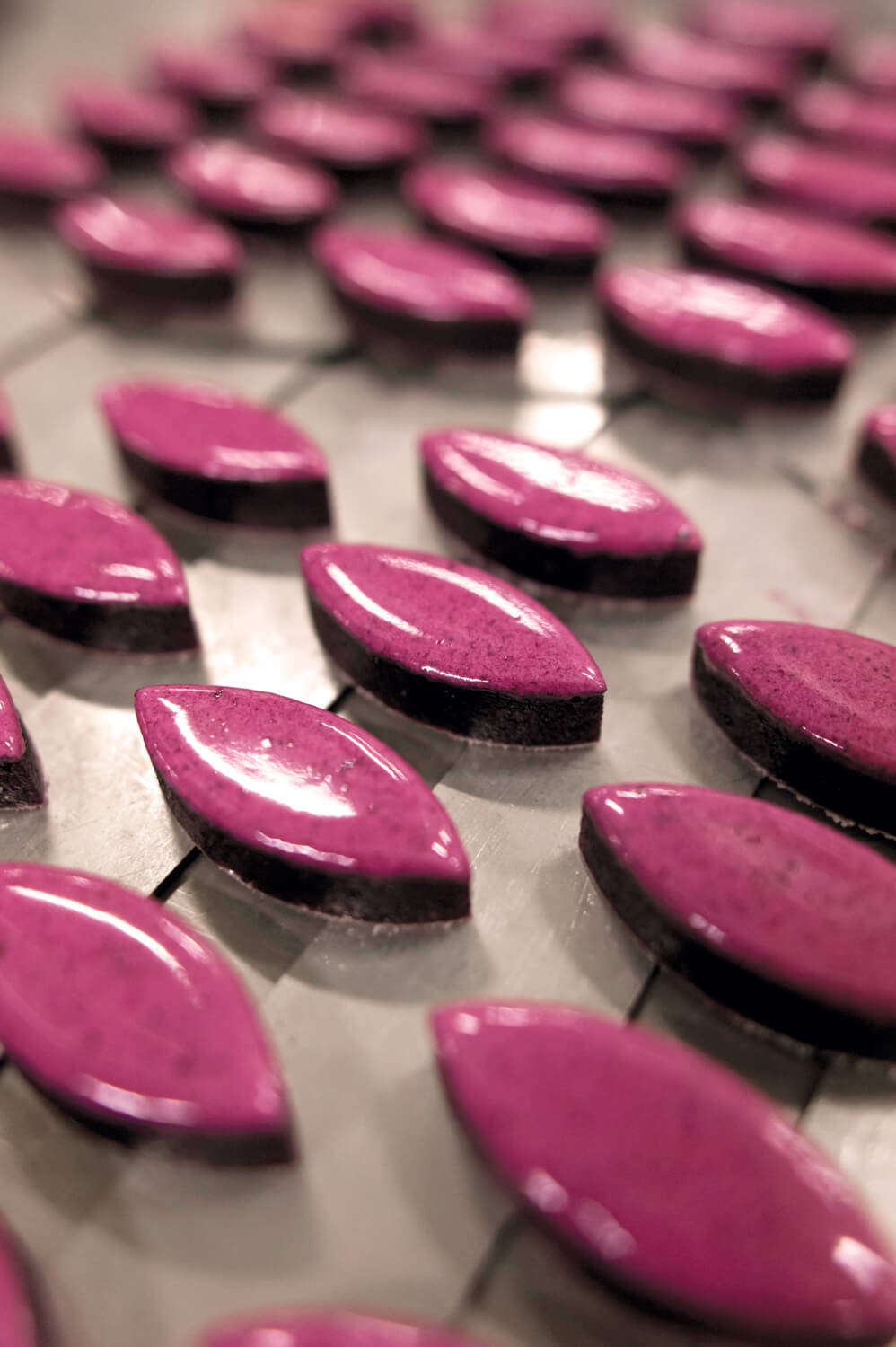 La Manufacture du Roy René