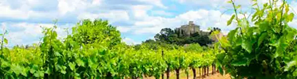 Photo représentative de l'adresse