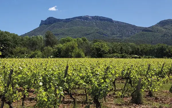 Photo représentative de l'adresse