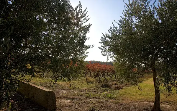 Photo représentative de l'adresse