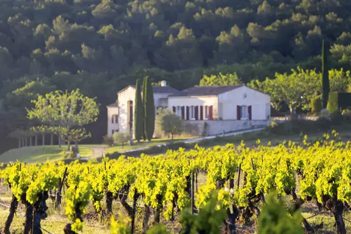 Photo représentative de l'adresse