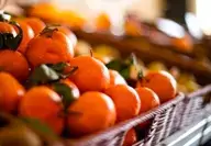 Photo représentative de l'adresse