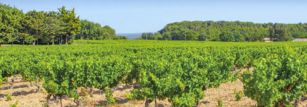 Photo représentative de l'adresse