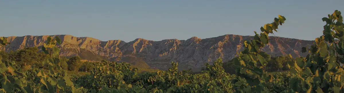 Photo représentative de l'adresse