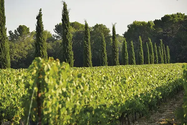 Photo représentative de l'adresse