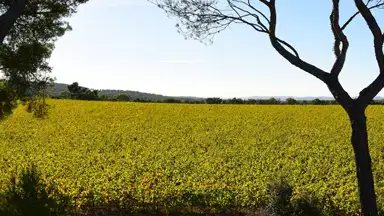 Photo représentative de l'adresse