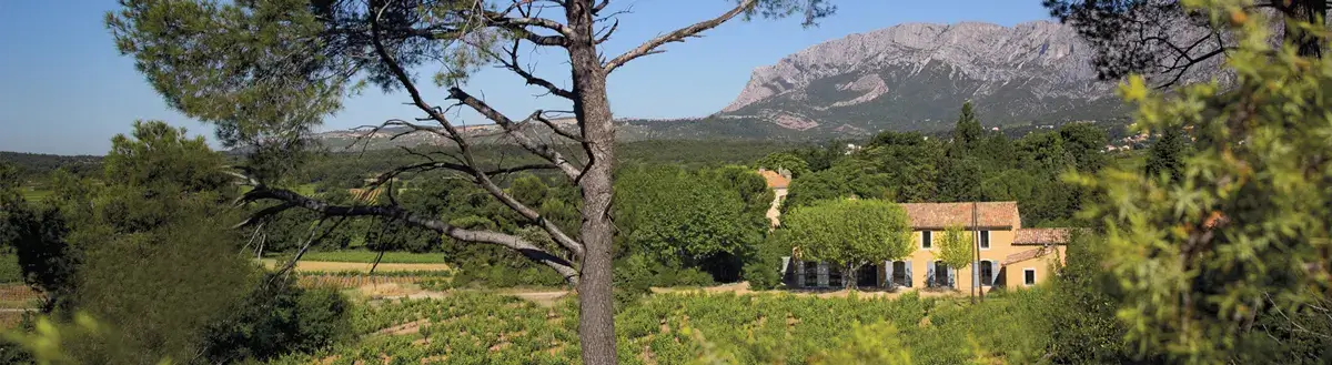 Photo représentative de l'adresse