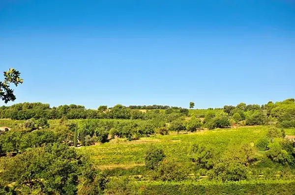 Photo représentative de l'adresse