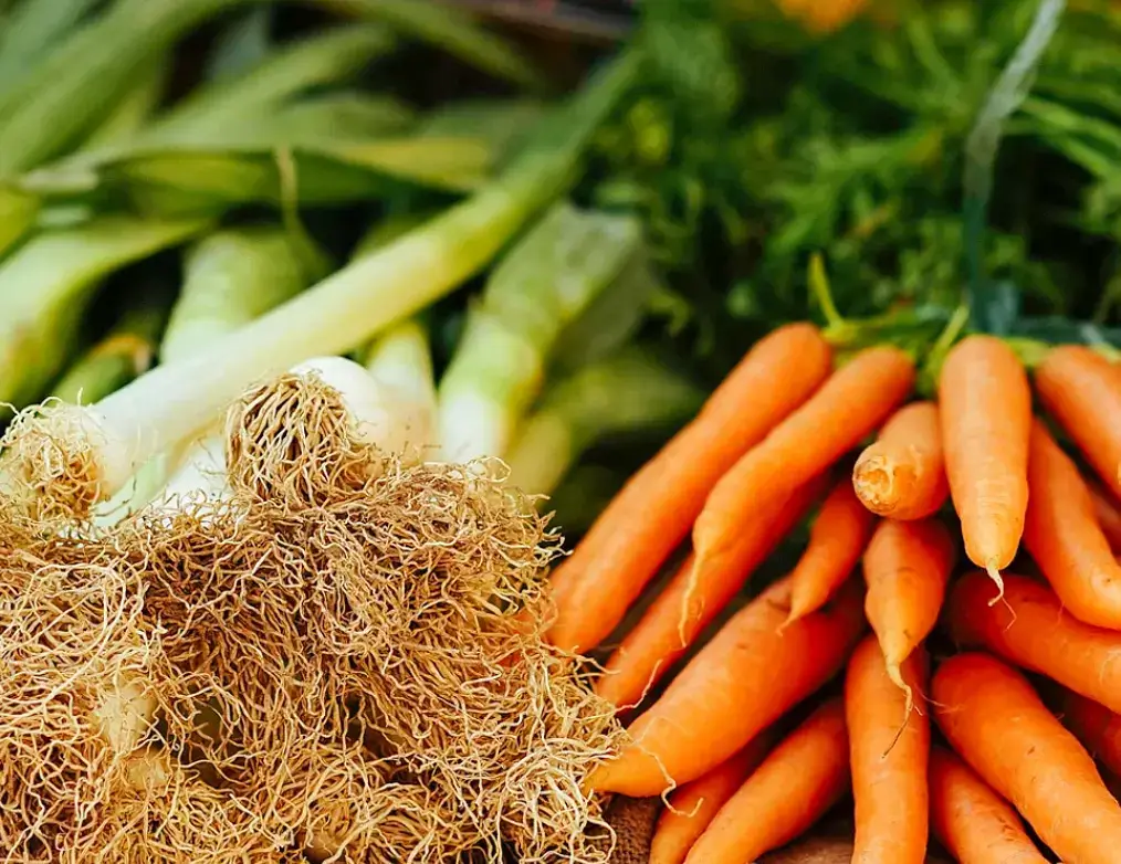 Photo représentative de l'adresse